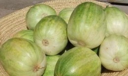 辐射瓜可以吃吗,揭秘其安全性及食用指南