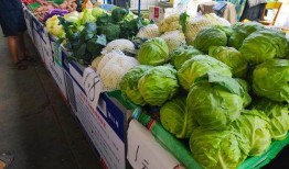 大理吃瓜摆摊,吃瓜摆摊，品味生活百态