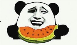 吃瓜群众教学视频下载,轻松学会下载教学视频，吃瓜更香！