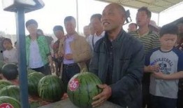 港城吃瓜群众,揭秘娱乐圈最新热点事件！