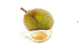 吃榴莲可以吃小瓜吗?,揭秘榴莲配小瓜的独特风味