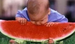 西瓜视频吃瓜人