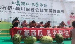 鹤岗吃瓜大赛在哪举行,一场别开生面的夏日狂欢盛宴”