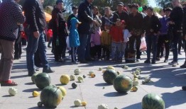 吃瓜届的学生,揭秘学生圈的热门话题与幕后故事