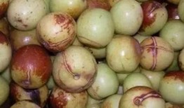 歪瓜吃瓜,揭秘娱乐圈的另类趣味