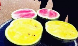 国外爆料吃瓜,吃瓜群众热议的爆料事件大盘点