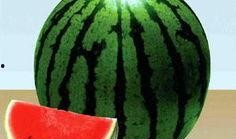 吃瓜科学是谁,网络热词背后的科学奥秘