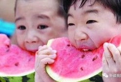 在主角身边吃瓜,揭秘幕后故事