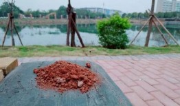 赣医吃瓜,揭秘校园里的那些“瓜”