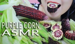 吃瓜助眠故事,吃瓜助眠的奇妙故事