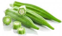 蓝牙聊天吃瓜,瓜田里的欢乐时光