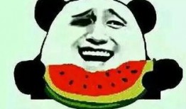叫你吃我瓜,揭秘“叫你吃我瓜”背后的故事