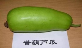 吃葫芦瓜好吗,葫芦瓜的营养价值与食用益处解析