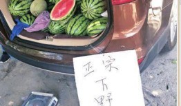 在主角身边吃瓜,揭秘幕后故事