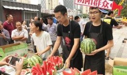 吃瓜网朝阳群众吃瓜,揭秘娱乐圈幕后故事