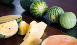 盒锦记吃瓜,揭秘网红吃瓜背后的故事