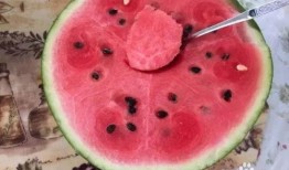 什么瓜越吃越甜什么瓜越吃越越苦,探究“越吃越甜”与“越吃越苦”的奥秘