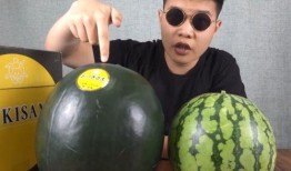 西瓜一瓜两吃,创意料理新风尚