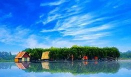 青云湖吃瓜,吃瓜群众的热议焦点