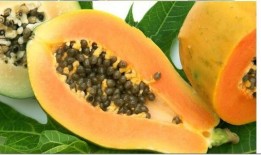 辐射瓜可以吃吗,揭秘其安全性及食用指南