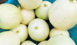 6月吃瓜好去处,6月必去的吃瓜胜地大盘点