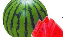 红色可以吃的瓜,探寻可食用瓜果的奇妙之旅