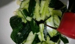 瓜可以炒了第二天吃吗,美味依旧的秘密