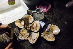 娘娘很吃瓜,宫廷秘闻大揭秘