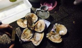 娘娘很吃瓜,宫廷秘闻大揭秘