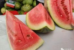 鹿邑全民吃瓜,一场全民参与的乡村盛宴