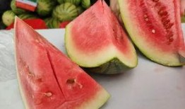 鹿邑全民吃瓜,一场全民参与的乡村盛宴