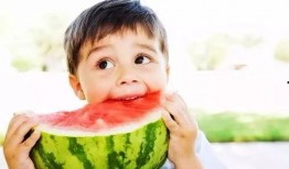 吃瓜和磁场有关