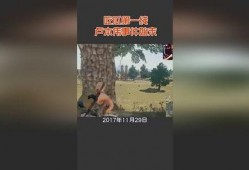 各界吃瓜事件始末视频,从热议到真相的全程回顾