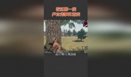 各界吃瓜事件始末视频,从热议到真相的全程回顾