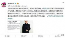 评论区吃瓜被起诉,网络评论引发的法律风波