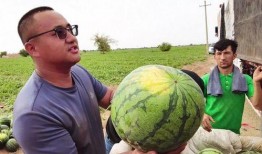 黑科吃瓜安装,揭秘校园热点事件背后的真相与笑料