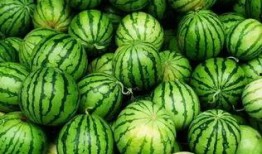 吃瓜群群名,一场网络社交的狂欢盛宴