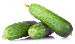 吃黄王瓜,探寻黄王瓜的独特风味与养生之道