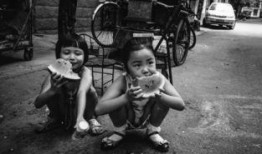 女娃在线吃瓜,揭秘娱乐圈幕后真相