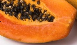 吃瓜影响月经吗,揭秘日常饮食对女性生理周期的影响