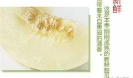 沭阳吃瓜,探寻当地特色美食之旅