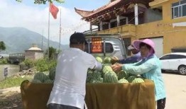 苍南吃瓜习俗,探寻民间吃瓜习俗的传承与魅力