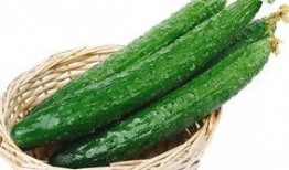 龙喜欢吃瓜么,龙究竟喜不喜欢吃瓜？