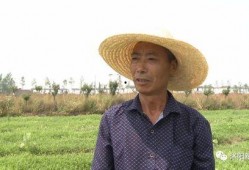 沭阳吃瓜,探寻当地特色美食之旅