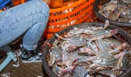 福建渔民前排吃瓜,见证海上丰收盛景