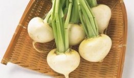 吃瓜大料温琴,温琴背后的故事与真相