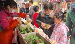 诺诺泉水吃瓜,揭秘瓜界新宠的神秘魅力