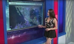 情感主播连线吃瓜,揭秘娱乐圈幕后故事