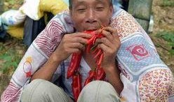 裹着被子吃瓜,裹被吃瓜的惬意时光