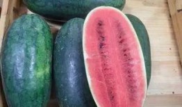 同样是吃瓜,揭秘娱乐圈幕后真相